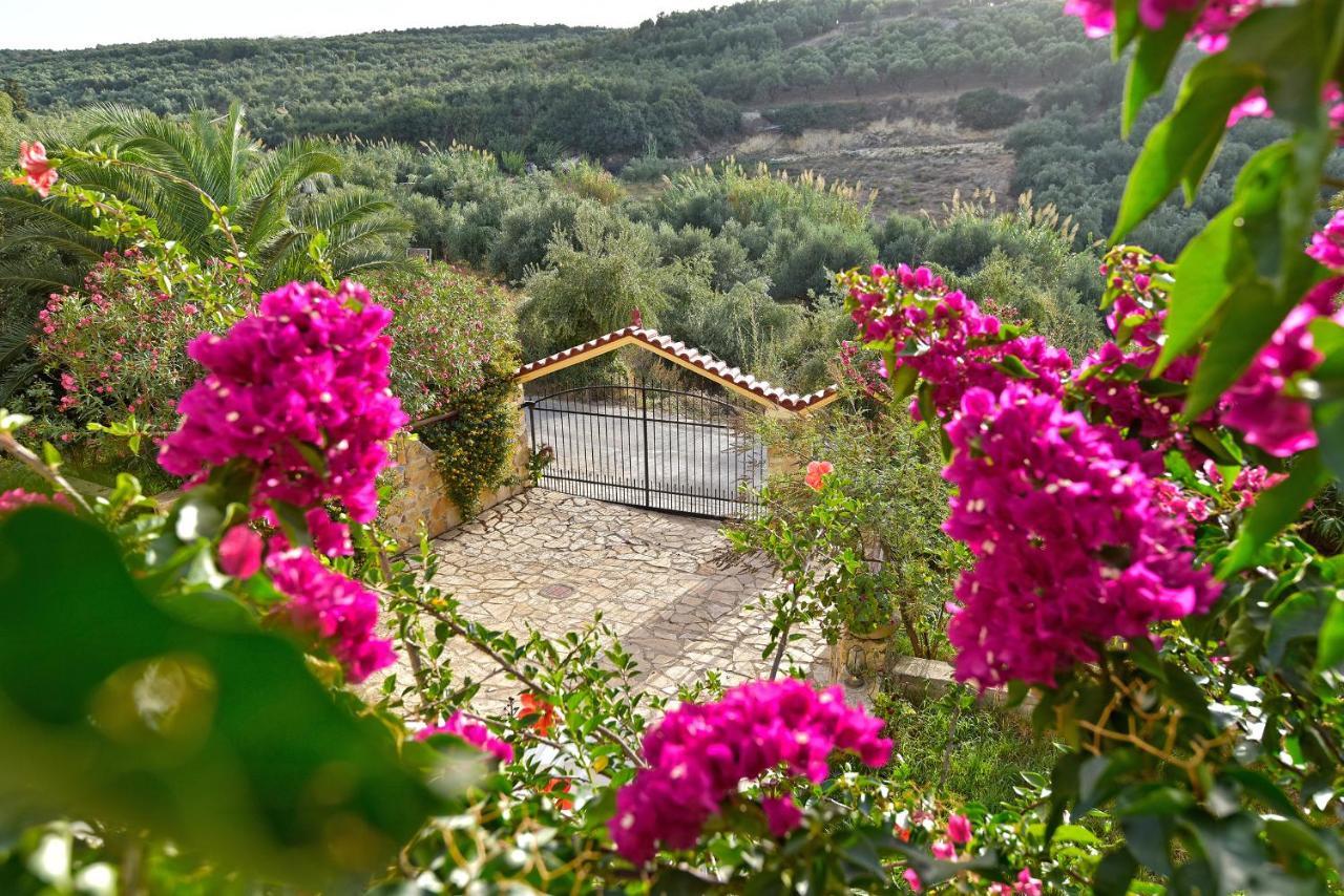 Villa Olive Farm Agia Marina Exterior foto
