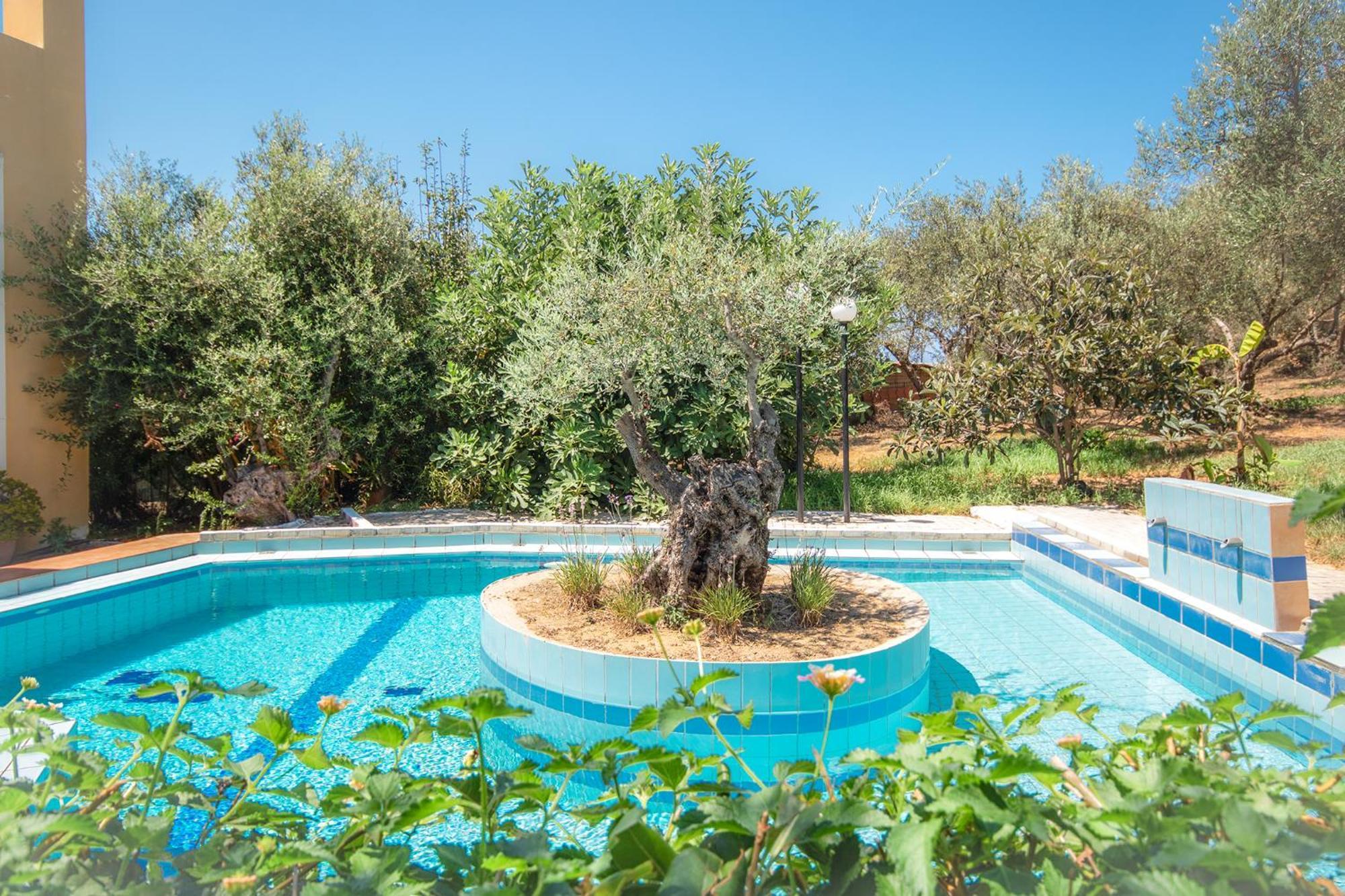 Villa Olive Farm Agia Marina Exterior foto