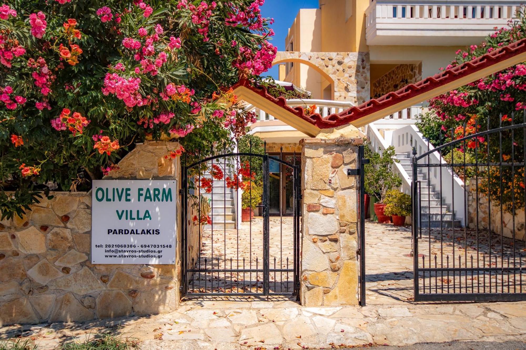 Villa Olive Farm Agia Marina Exterior foto